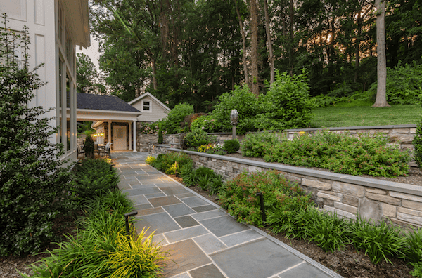 landscape trends